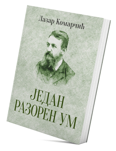 Један разорен ум
